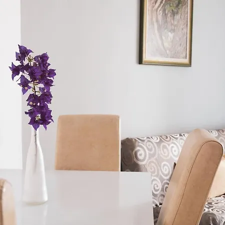 Apartment Novis Kali